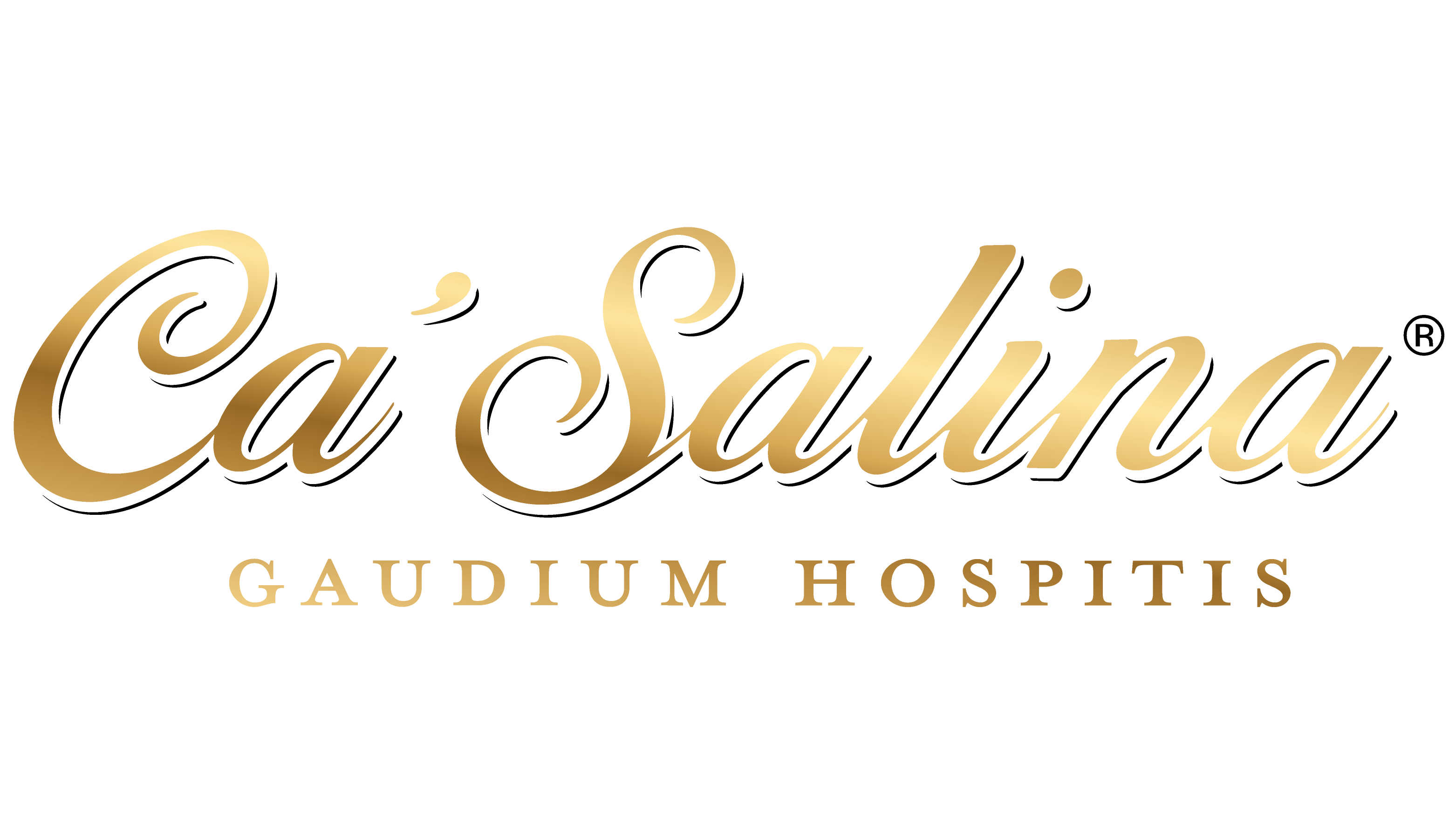 Ca' Salina